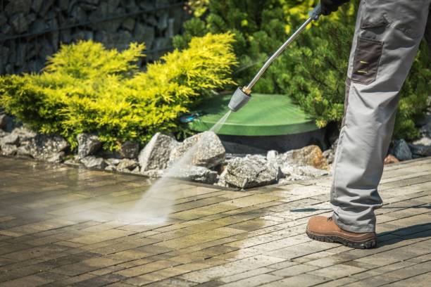 Best Animal Enclosure Cleaning  in Taft Mosswood, CA